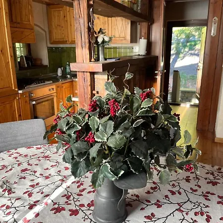 Blanc Coeur Sapin * Courmayeur